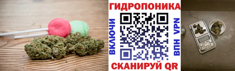 Canna-Cookies марихуана  Купить закладки  Купино 