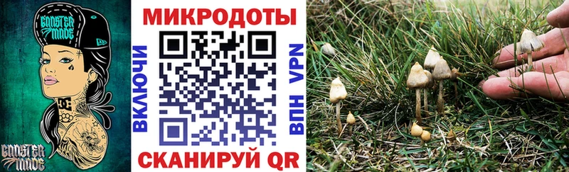 Галлюциногенные грибы Magic Shrooms  Купить  Купино 