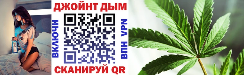 Купить где  Купино  МАРИХУАНА ГИДРОПОН 